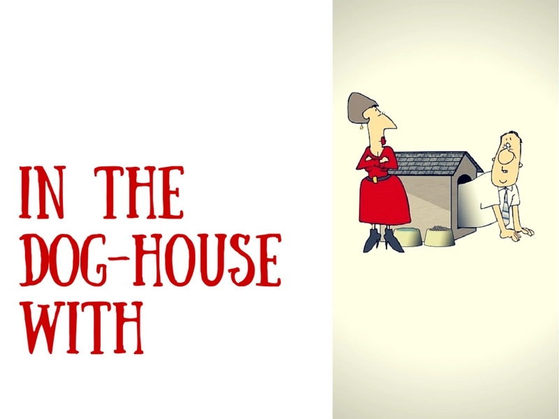 In the doghouse, a dog in the manger – значение и перевод идиомы на русский