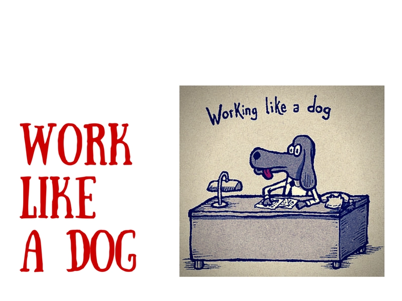 Work like a dog, top dog: перевод идиом, значение на русском