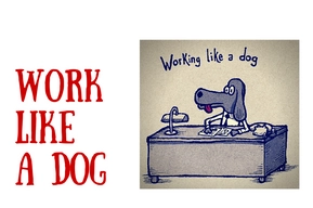 Work like a dog, top dog: перевод идиом, значение на русском